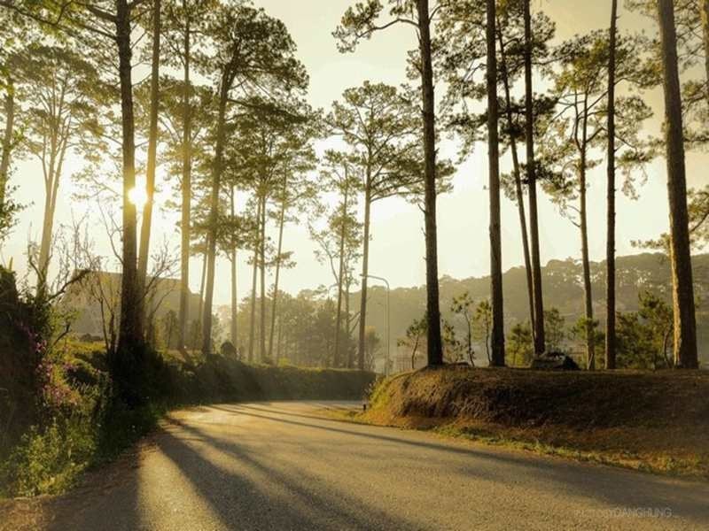 Phong cảnh Măng Đen cao nguyên