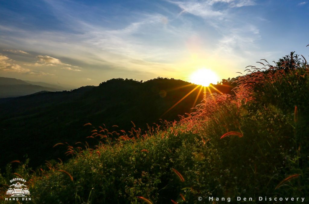 Đồi Cỏ Măng Đen hoàng hôn Đồi Cỏ Măng Đen hoàng hôn