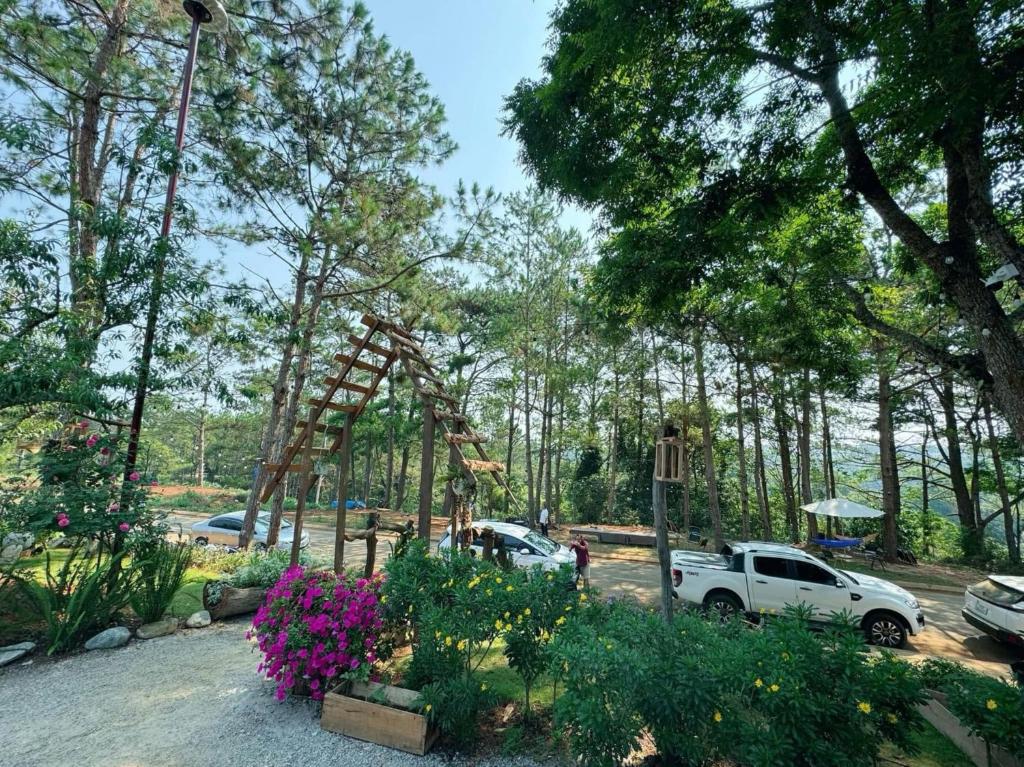 Đường Thông Chữ S Măng Đen