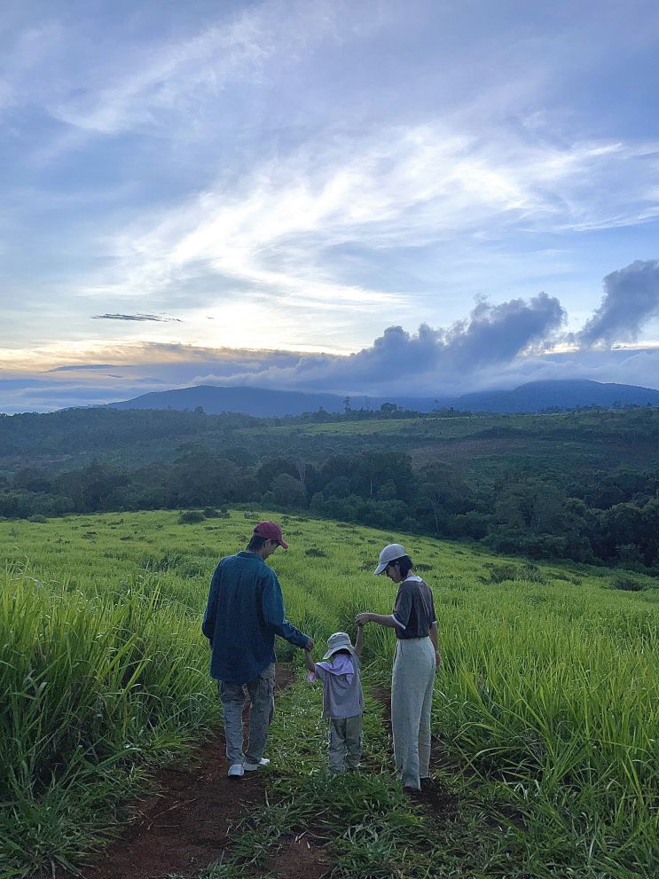 Đồi Cỏ Măng Đen bình minh Đồi Cỏ Măng Đen bình minh
