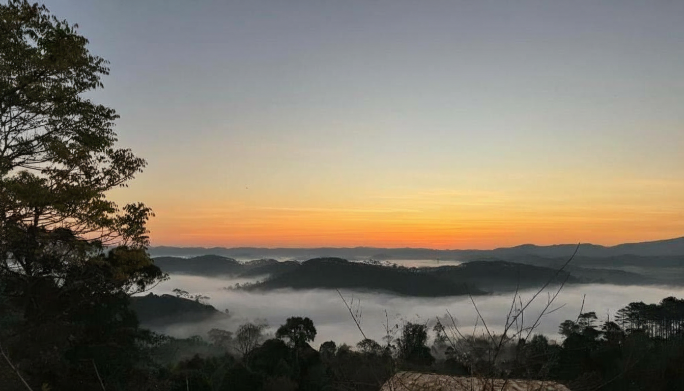 Quán cà phê homestay Măng Đen Quán cà phê homestay Măng Đen