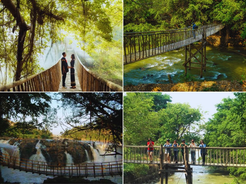 Rừng nguyên sinh Tây Nguyên