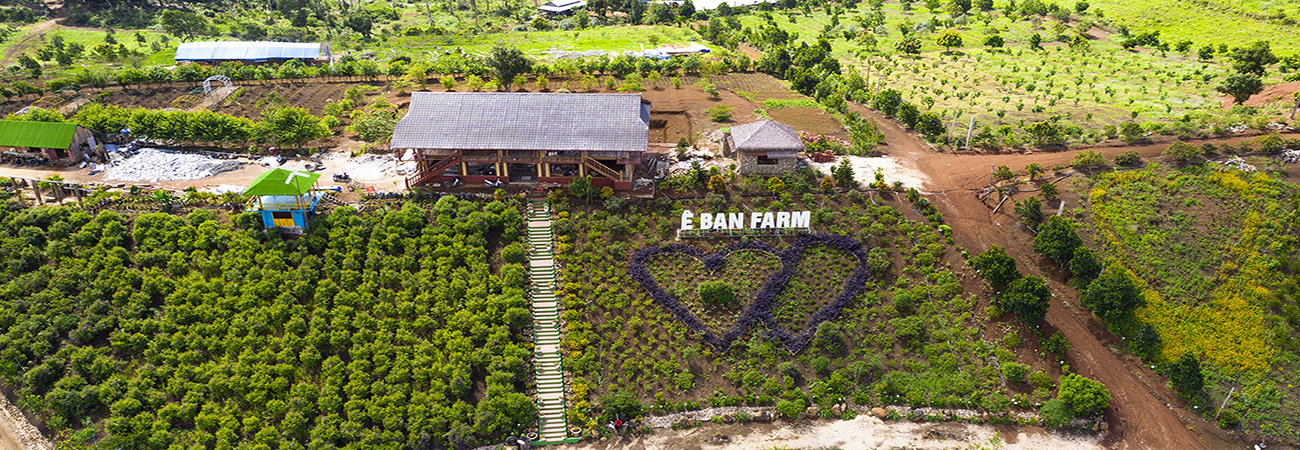 Ê Ban Farm Măng Đen Ê Ban Farm Măng Đen