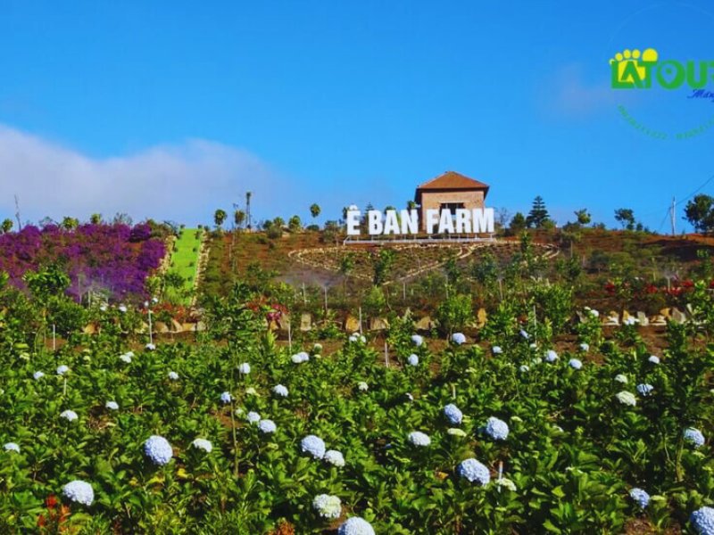 Ê Ban Farm Măng Đen Ê Ban Farm Măng Đen