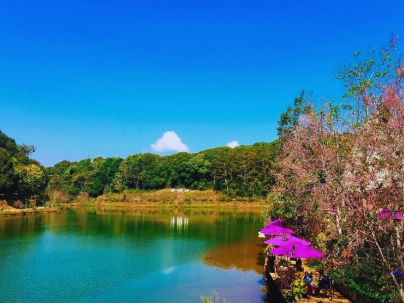 Hồ Đăk Ke Măng Đen