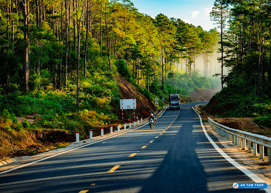 Rừng Thông Măng Đen