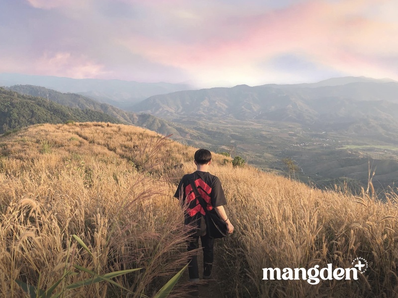 Cảnh đẹp Đồi Cỏ Măng Đen Cảnh đẹp Đồi Cỏ Măng Đen