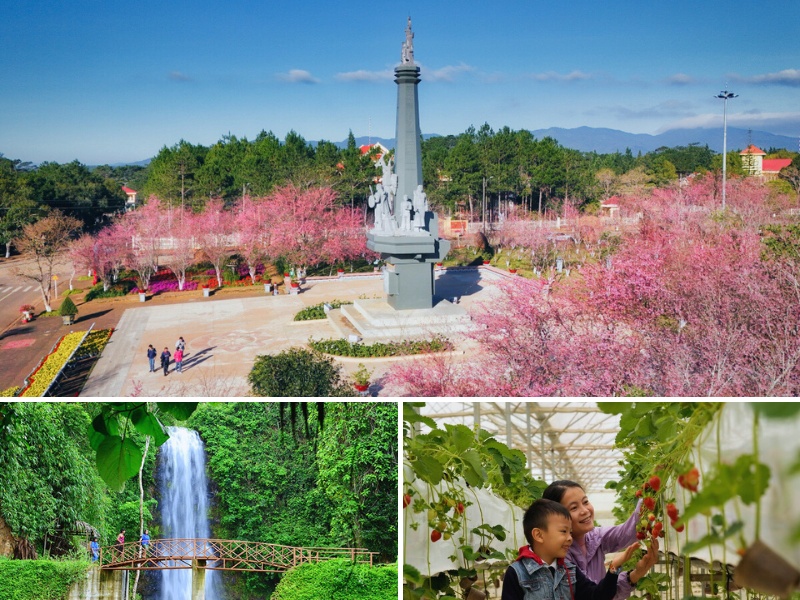 Măng Đen về đêm